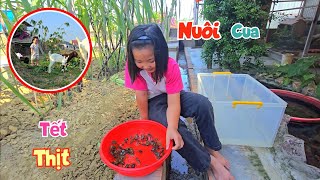 Dự Án Lớn Của Ngọc Mai Làm Bể Nuôi Cua Và Đưa Vẹt Con Sang Nhà Mới  Quế Nghịch [upl. by Latta861]