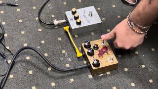 Fuzz Face shootout Analogman Sunlion NKT275 vs Face Old Fuzz [upl. by Ayota]