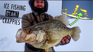 Ice Fishing GIANT Crappies in Shallow Water  TIPS amp TECHNIQUES [upl. by Leboff]