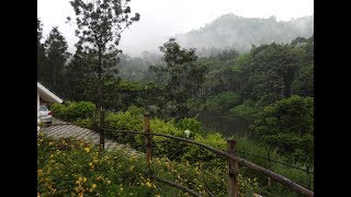 Munnar Kerala RIVULET RESORT IN THE LAP OF NATURE [upl. by Pigeon]