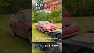 Abandoned Ford Mustang Barn Find Gets First Wash in 8 Years  Satisfying Car Detailing Restoration [upl. by Yarb]