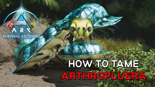 Ark Survival Ascended  How to tame ARTHROPLUERA  Easiest Method [upl. by Ewen]