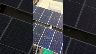 Jinko Bifacial 585W 14 Solar Panel in Karachi solar solarsystemsinpakistan solarproject [upl. by Werby]