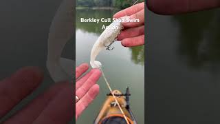 Berkley cull shad swimming action Its amazing how fast you can reel this bait [upl. by Healion]