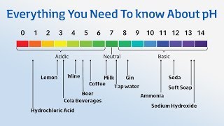 Using a pH Meter  Everything You Need to Know About pH [upl. by Eppes]