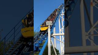 The Flying Cobras BOOMERANG coaster at carowinds rollercoaster themepark amusementpark rides [upl. by Akiam]