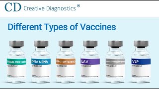 Different Types of Vaccines  Creative Diagnostics [upl. by Einnahpets]