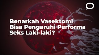 Benarkah Vasektomi Bisa Pengaruhi Perfoma Seks Pria [upl. by Issirk456]