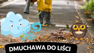 Dmuchawa Do Liści [upl. by Iosep]