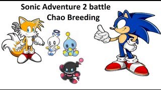 Sonic Adventure 2 Battle How to get a Chao to breed [upl. by Ennyroc]