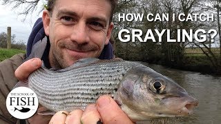 How can I catch Grayling The School Of Fish [upl. by Roman]