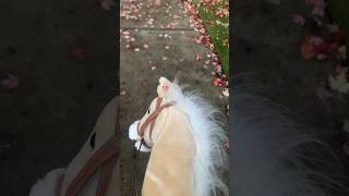 🍂Cantering through the leafs💋 equestrian horse morecontentcoming horseriding fypシ゚viral [upl. by Frants]