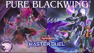 My Pure Blackwing Deck in 2024 Ranked Gameplay And Deck Profile YuGiOh Master Duel [upl. by Trinette]