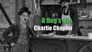 Charlie Chaplin and his brother Sydney in a scene from A Dogs Life 1918 [upl. by Sell]