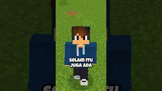 Sekarang Ada Banyak Elytra BARU Di Minecraft [upl. by Odnolor61]