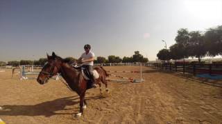 Desert Palm Riding School in Dubai [upl. by Latterll]