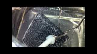 Experiment 4  Carbon Fiber HHO Electrodes Rectifying Current In Water [upl. by Aihset]