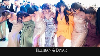 Keziban amp Diyar  Dersim  Pazarcik  GRUP MERAN  Memo Davul Zurna MirVideoProduction ® [upl. by Nehtiek]