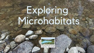 Fun Science Friday Exploring Microhabitats [upl. by Carrington]