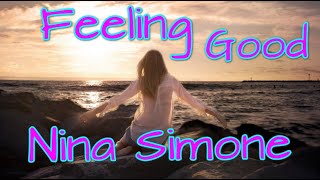 Nina Simone  Feeling Good Lyrics [upl. by Catlee]