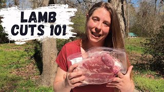 Beginners Guide To Lamb Processing  Retail Cuts Of Lamb Meat Explained [upl. by Niras118]