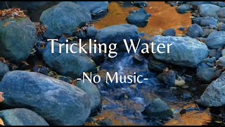 1 Hour of Trickling Water Sounds with NO MUSIC [upl. by Sivrup358]