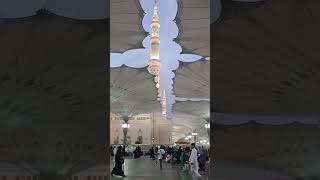 phool khilte Hain padh padh ke Sun Lena ya Rasool Allah nabi foryou viral islam religion [upl. by Dielu]