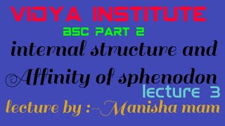 Features and affinities of Sphenodon Order Rhynchocephalia by Manisha mam [upl. by Bonina61]