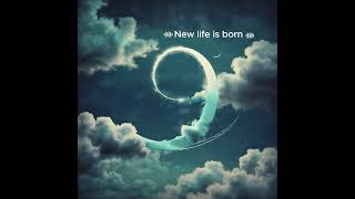 เพลง New life is born SUNO BEAR [upl. by Jarad94]