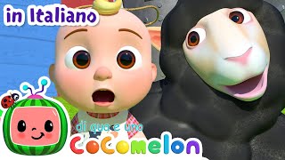 Baa Baa pecora nera  CoComelon Italiano  Canzoni per Bambini [upl. by Devinna]