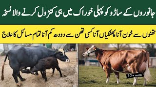 Janwar k thannon say khoon ana  saaru  Mastitis ka Desi ilaj [upl. by Atimad983]