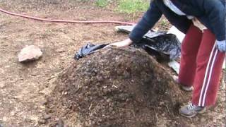 How to Compost Manure in Thirty Days [upl. by Los]