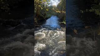 capturing the fast flowing River Dove at Beresford Dale [upl. by Votaw]