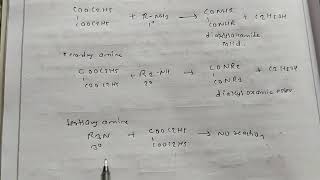 Separation of primary secondary and tertiary amine by Hoffmans Method class 12  neb [upl. by Ahtnams]