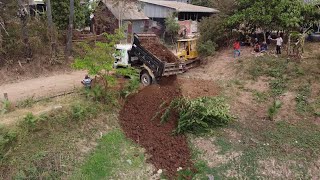 Starting a New Project  Small Dozer Clearing Land And Tree With 5t Truck Pour Soil Size 5m x 25m [upl. by Zane]