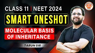 MOLECULAR BASIS OF INHERITANCE CLASS 12 ONE SHOT  NEET 2024  SMART ONE SHOT  BOTANY BY TARUN SIR [upl. by Sou]