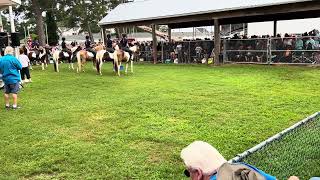 Chincoteague Pony Drill Team [upl. by Ecyle]