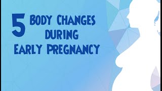 5 Body Changes During Early Pregnancy [upl. by Mccahill592]