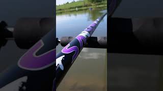 STORIONI A ROUBASIENNE 💥 PESCA DIVERTENTE EDECONOMICA fishing fishingvideo sturgeon bigfish [upl. by Adnohsal]