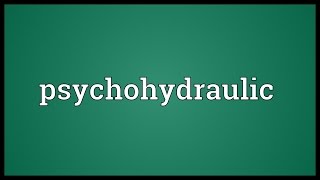 Psychohydraulic Meaning [upl. by Airdnaz]