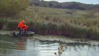 Chasse sanglier en Camargue [upl. by Ameerahs486]