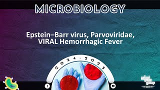 L2 Parvo virus  EBV and Hemorrhagic fevers  Microbiology [upl. by Lowson]