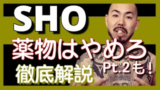 【日本語ラップ解説】SHO  薬物はやめろ【話題曲】【HipHop】【2015】【リリック】【Billboard】【lyrics】【ランキング】 [upl. by Allix150]