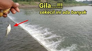 Sekecil ini ada banyak Gila kalau micro fishingan di spot ini dapat rejeki nomplok [upl. by Hermione]