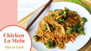 HOW TO MAKE  Chicken Lo Mein Easy amp Tasty [upl. by Airdnaxela]