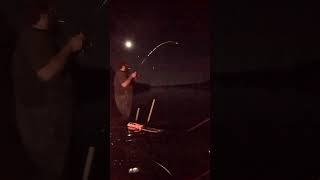 At least I didnt get skunked at Woods Reservoir TN fishing catfishing fish shorts shortvideo [upl. by Koh]