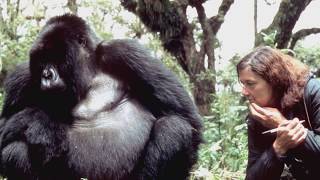 Legacy of Female Primatologists Jane Goodall amp Dian Fossey — Elizabeth Lonsdorf at The Interval [upl. by Octavus]