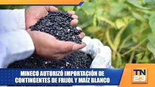 Mineco autorizó importación de contingentes de frijol y maíz blanco [upl. by Enahsed]