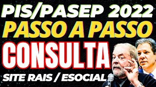 CONSULTA PISPASEP 2022 PELA RAIS ESOCIAL DECLARADA DA EMPRESA  ABONO SALARIAL HABILITADO [upl. by Htiffirg723]