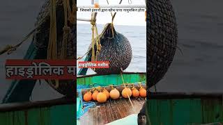 Fishe ka bhandar amazingfacts factsinhindi knowledge facts fish fishing [upl. by Galliett]